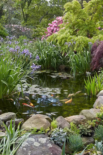 sustainable gardening - eco friendly garden with steps and greenery planted around boulders