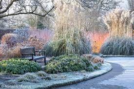 Top Tips On How To Put Your Garden To Bed For The Winter