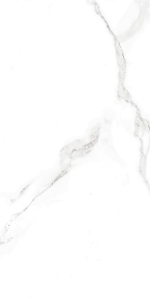 Medici Carrara Marble Effect Gloss Porcelain 30x60cm